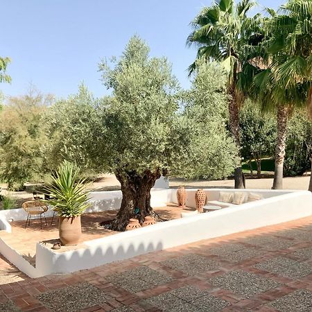 Cortijo Bablou - Maison De Vacances (Adults Only) Arcos de la Frontera Eksteriør bilde