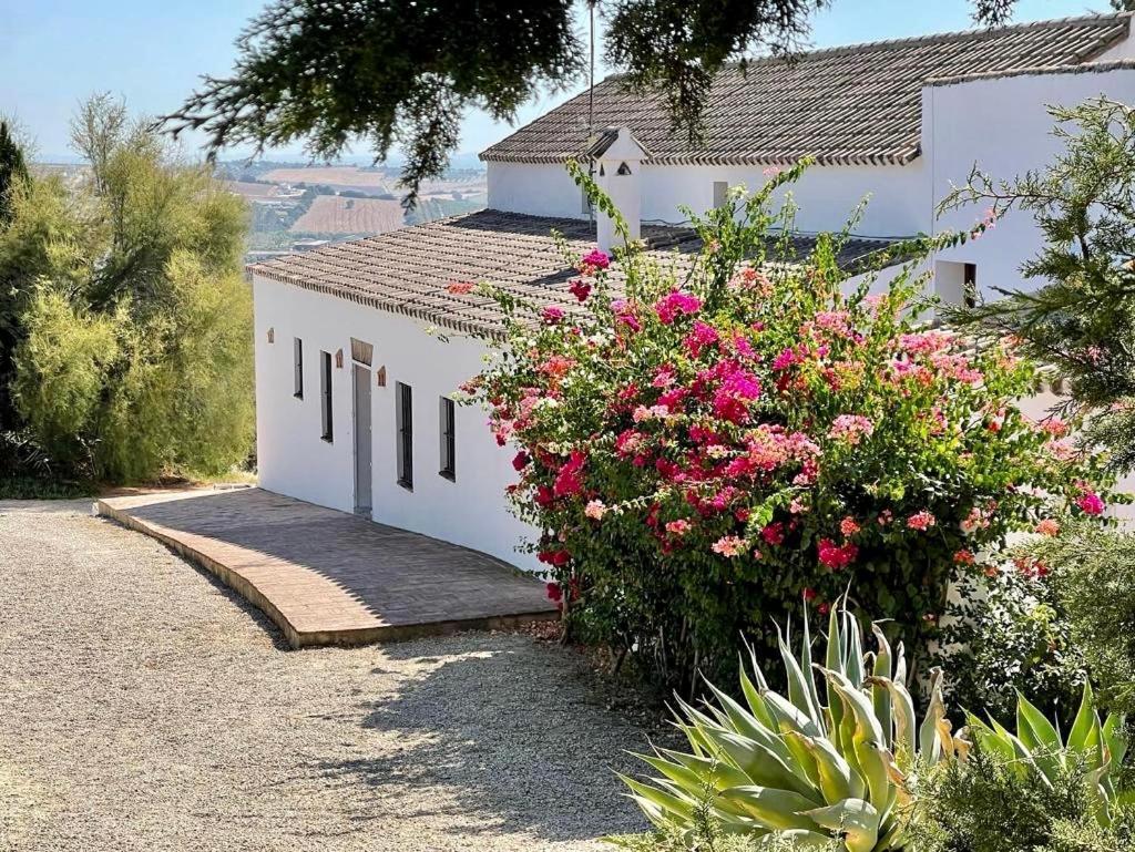 Cortijo Bablou - Maison De Vacances (Adults Only) Arcos de la Frontera Eksteriør bilde