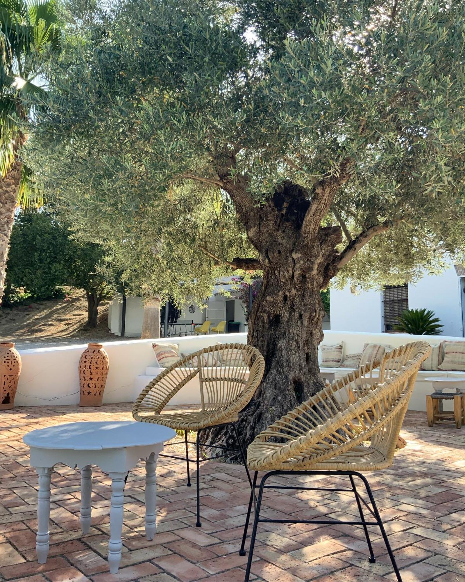 Cortijo Bablou - Maison De Vacances (Adults Only) Arcos de la Frontera Eksteriør bilde